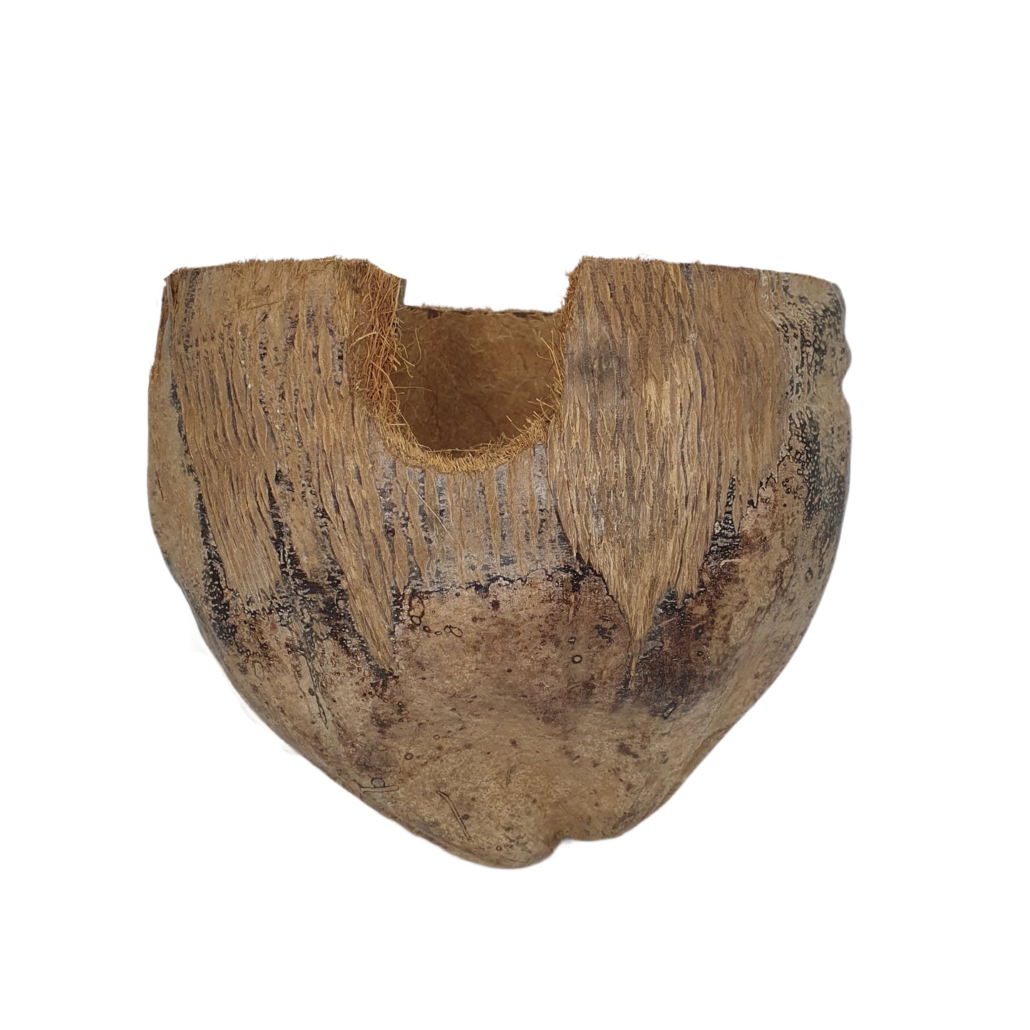 Bivenro Natural 3/4 Cocoa Hideout con design Husk (formato unico)