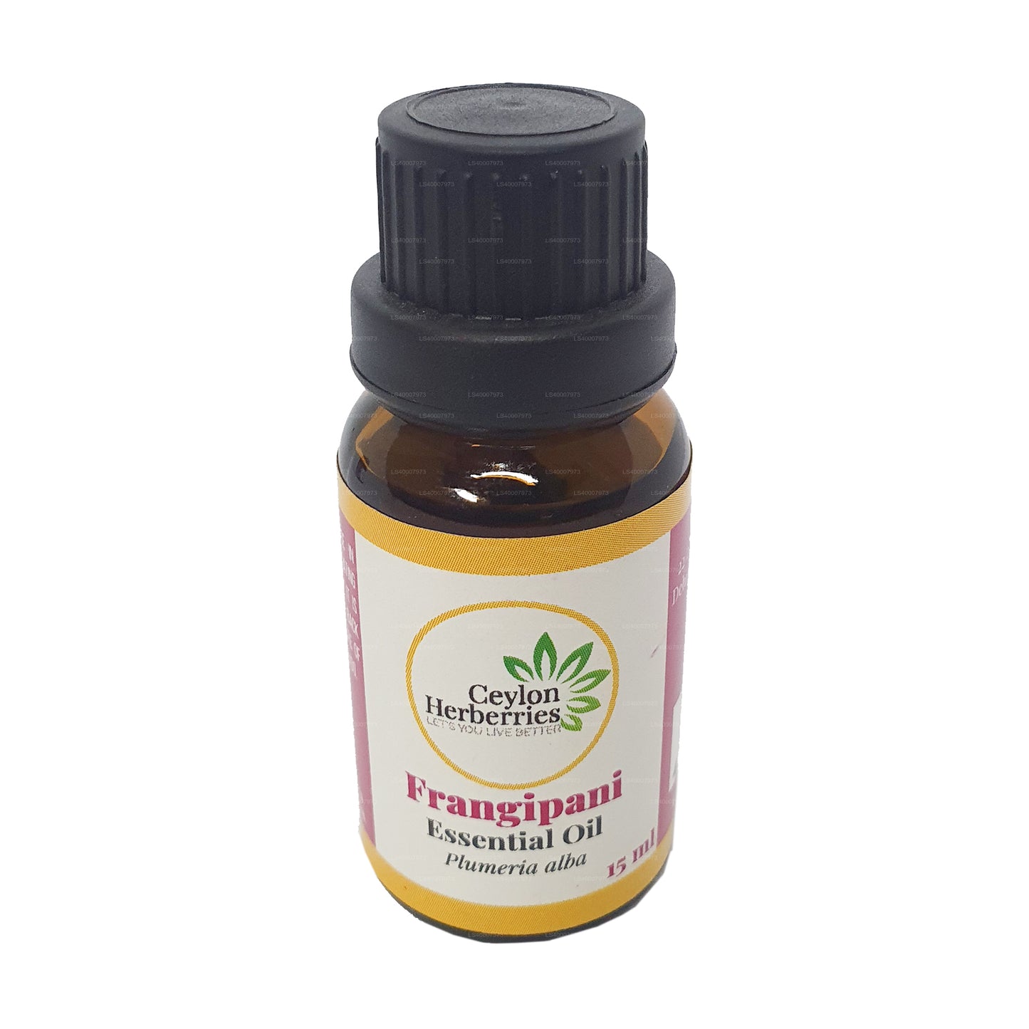 Olio essenziale di frangipane alle erbe di Ceylon (Plumeria alba) 15ml