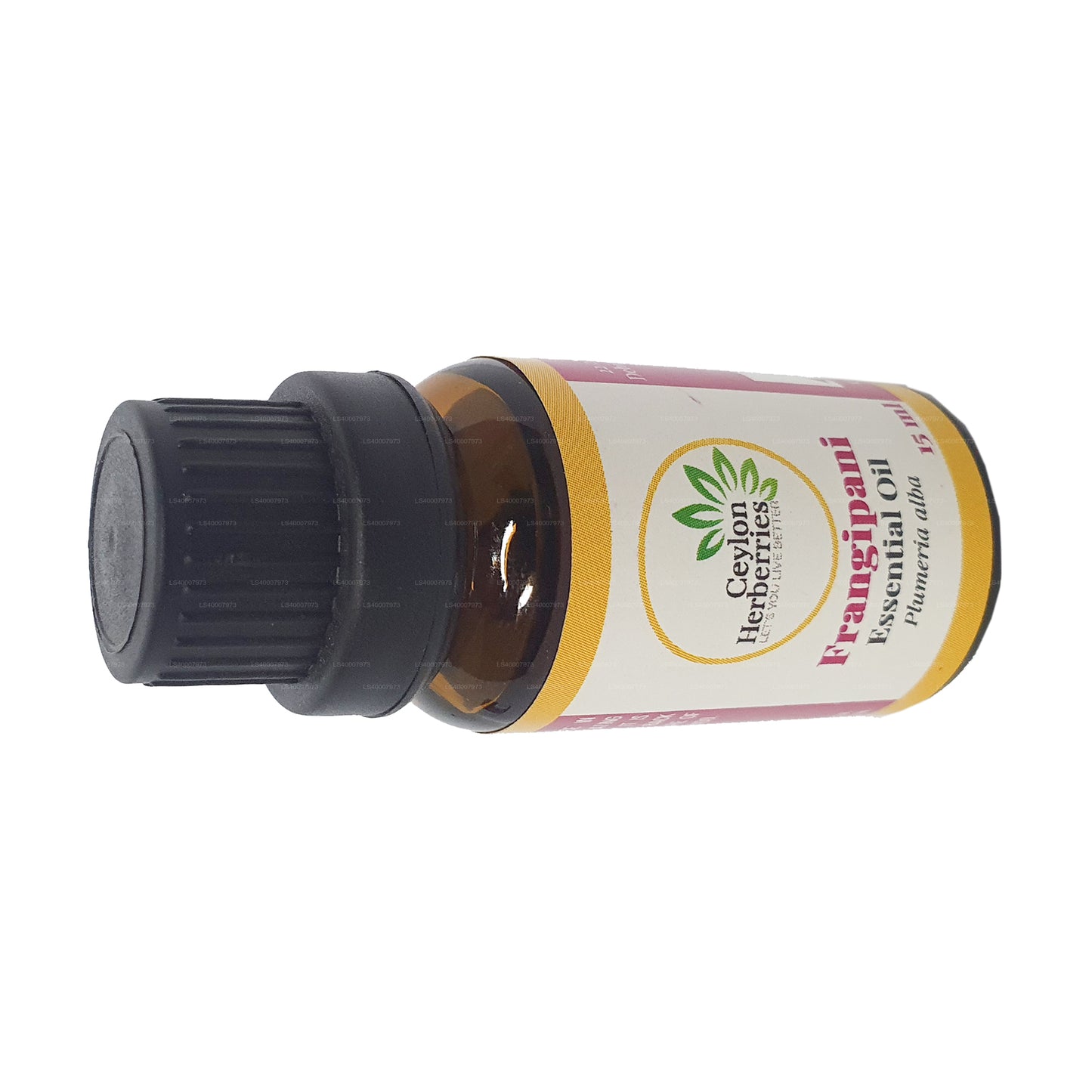 Olio essenziale di frangipane alle erbe di Ceylon (Plumeria alba) 15ml