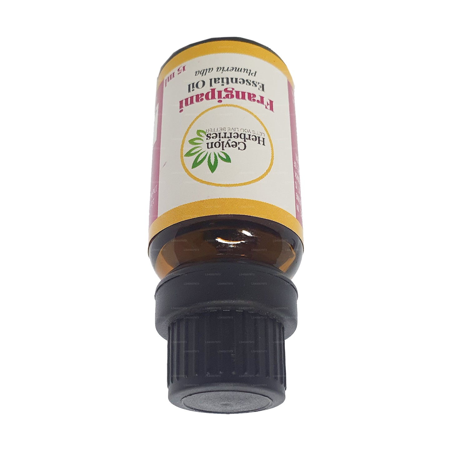 Olio essenziale di frangipane alle erbe di Ceylon (Plumeria alba) 15ml