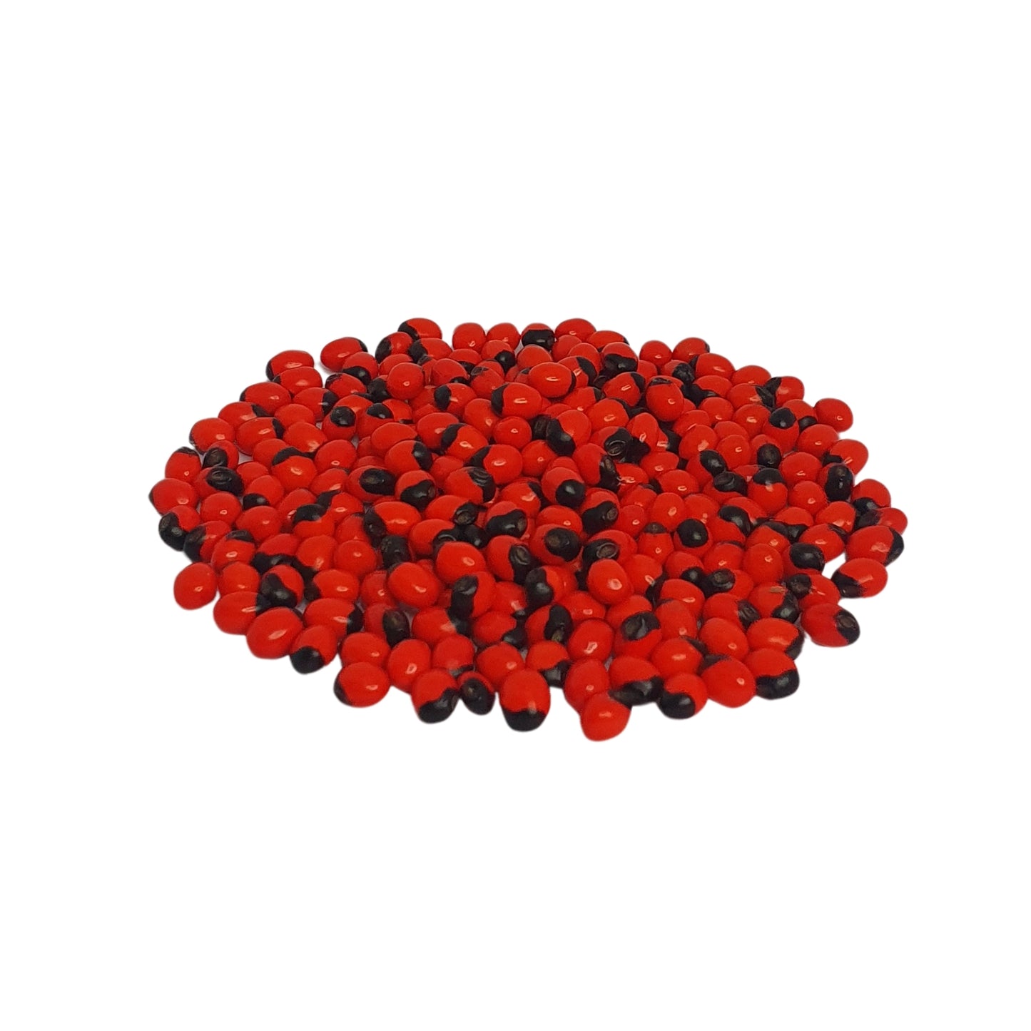Semi di Lakpura® Olinda (Abrus marocchino)