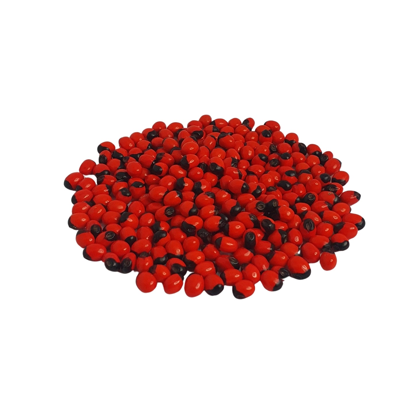 Semi di Lakpura® Olinda (Abrus marocchino)