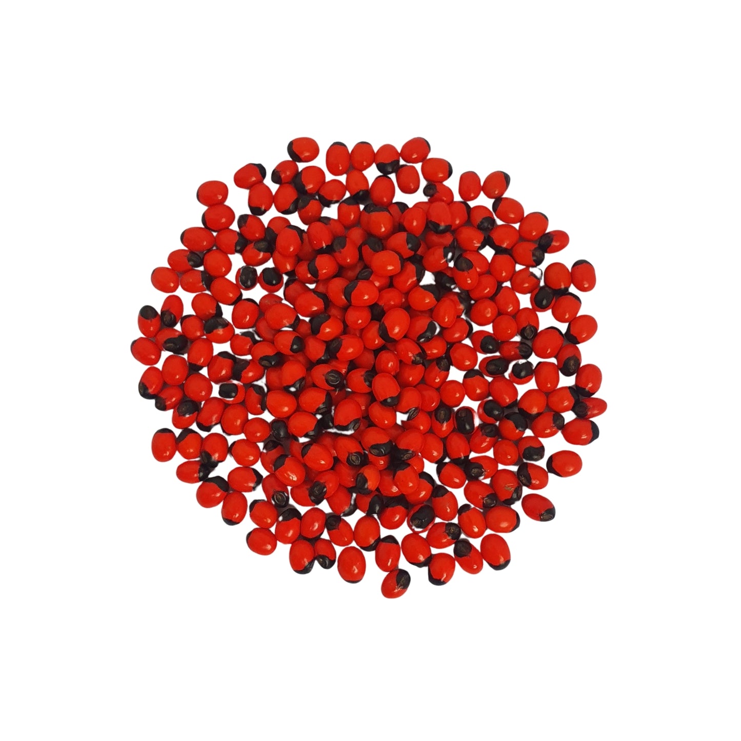 Semi di Lakpura® Olinda (Abrus marocchino)