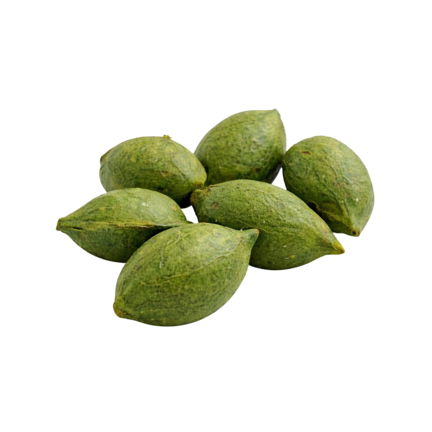 Lakpura® Terminalia Catappa (Kottamba) Seme Intero