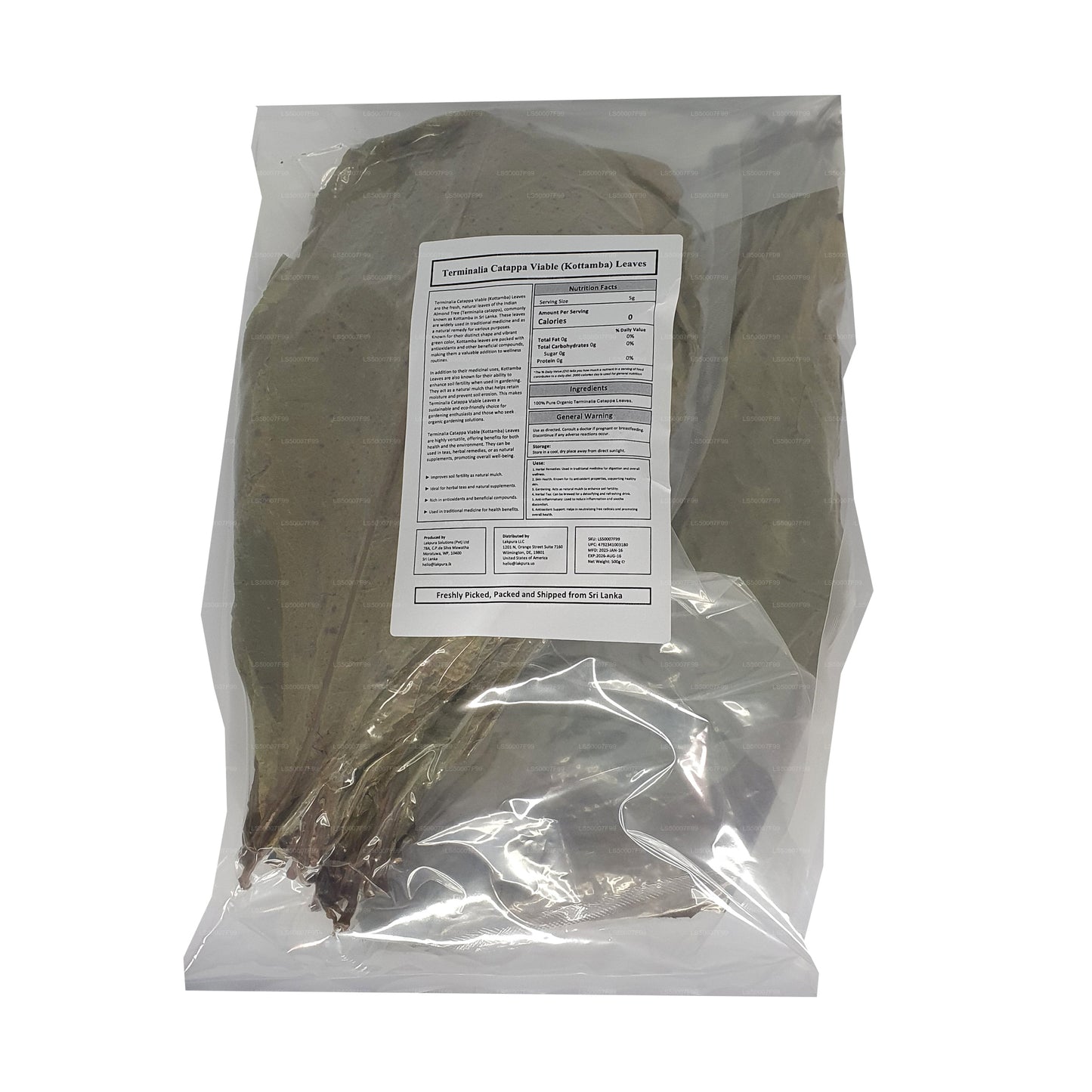 Lakpura disidratata (Kottan, Kottamba, mandorla indiana) Terminalia catappa 100 foglie (100 g)