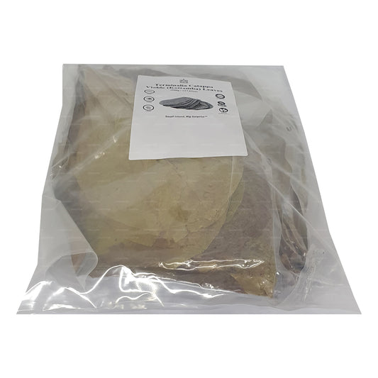 Lakpura disidratata (Kottan, Kottamba, mandorla indiana) Terminalia catappa 100 foglie (100 g)