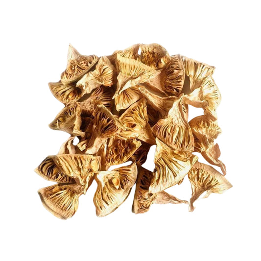 Lakpura Dehydrated Baby Jackfruit Slices