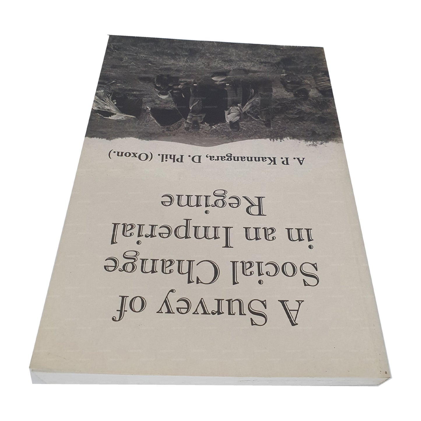 Un'indagine sui cambiamenti sociali in un regime imperiale