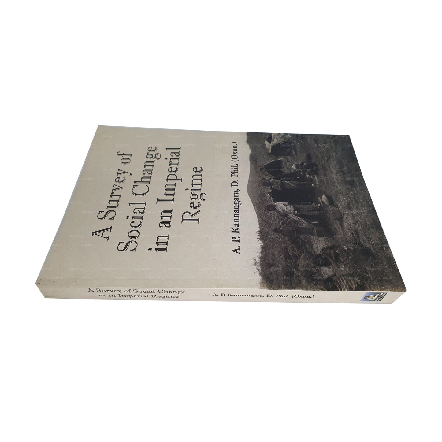 Un'indagine sui cambiamenti sociali in un regime imperiale