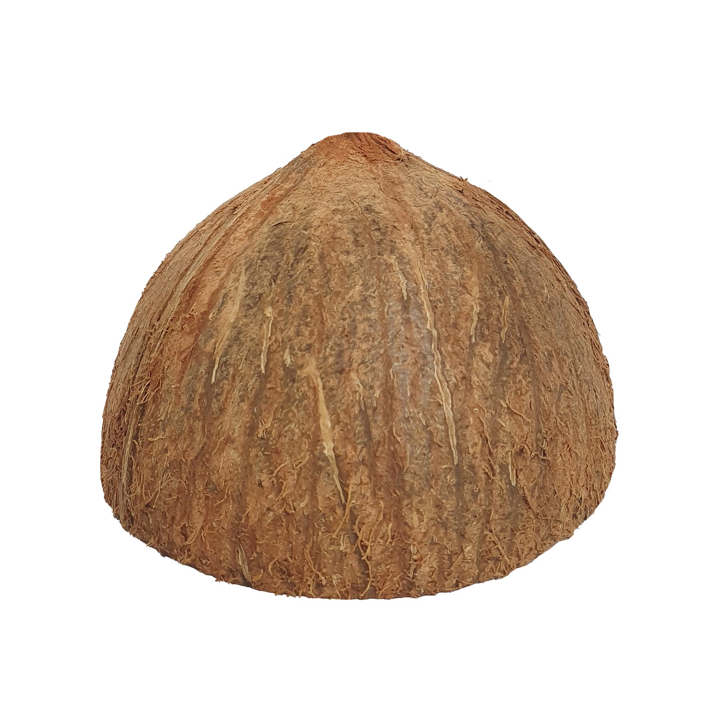 Metà di guscio di cocco Lakpura®