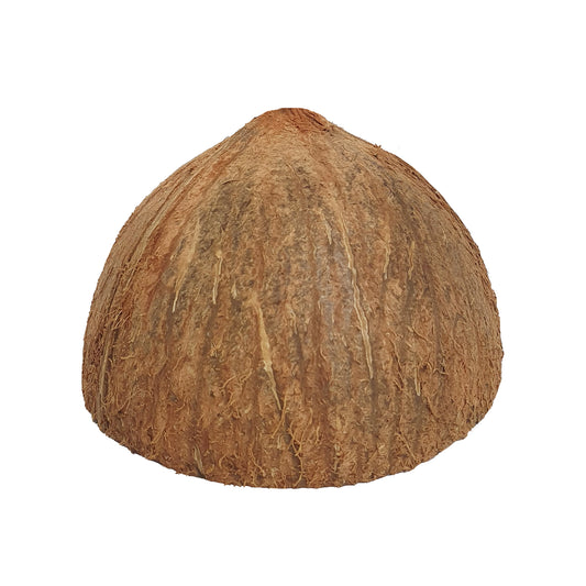 Metà di guscio di cocco Lakpura®