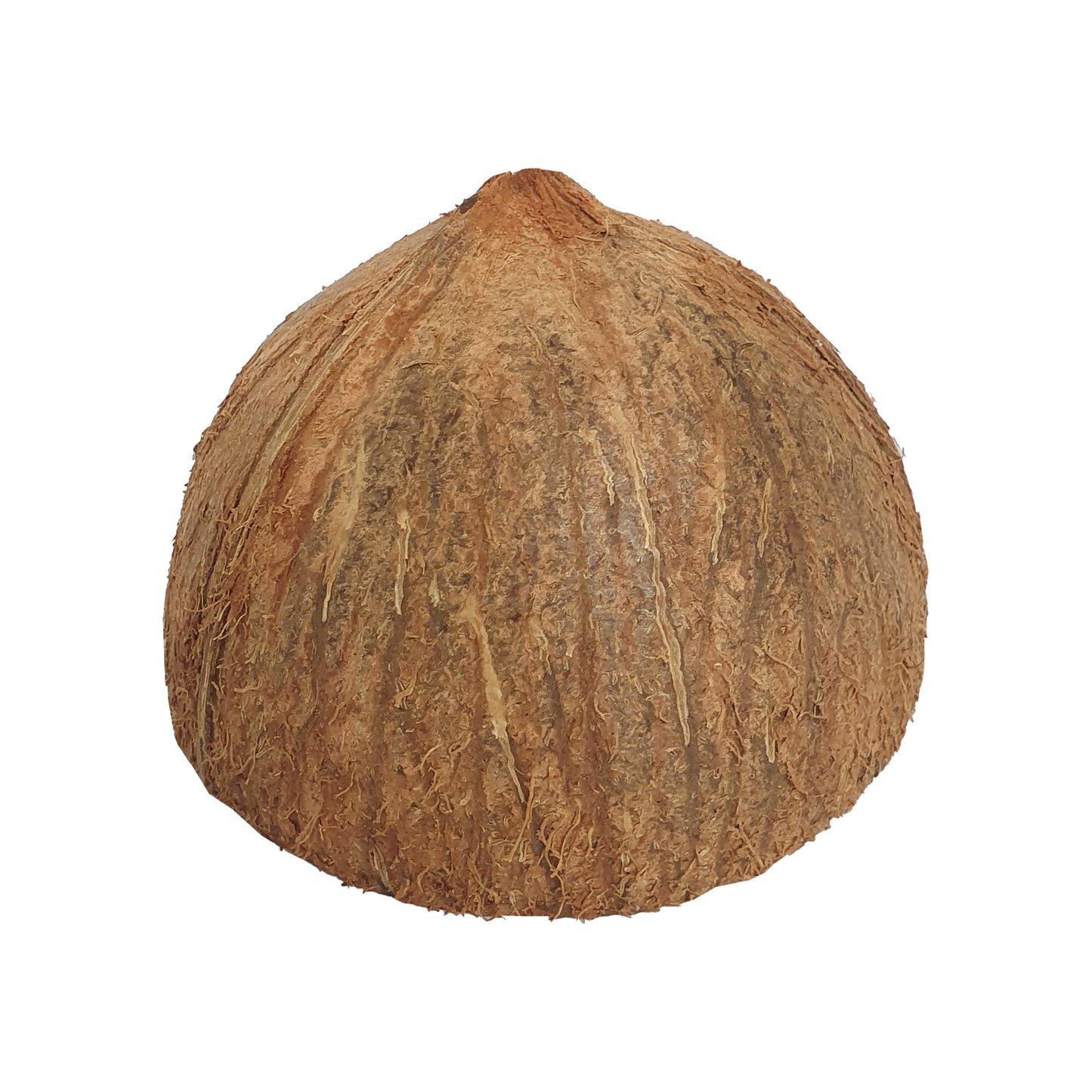 Metà di guscio di cocco Lakpura®