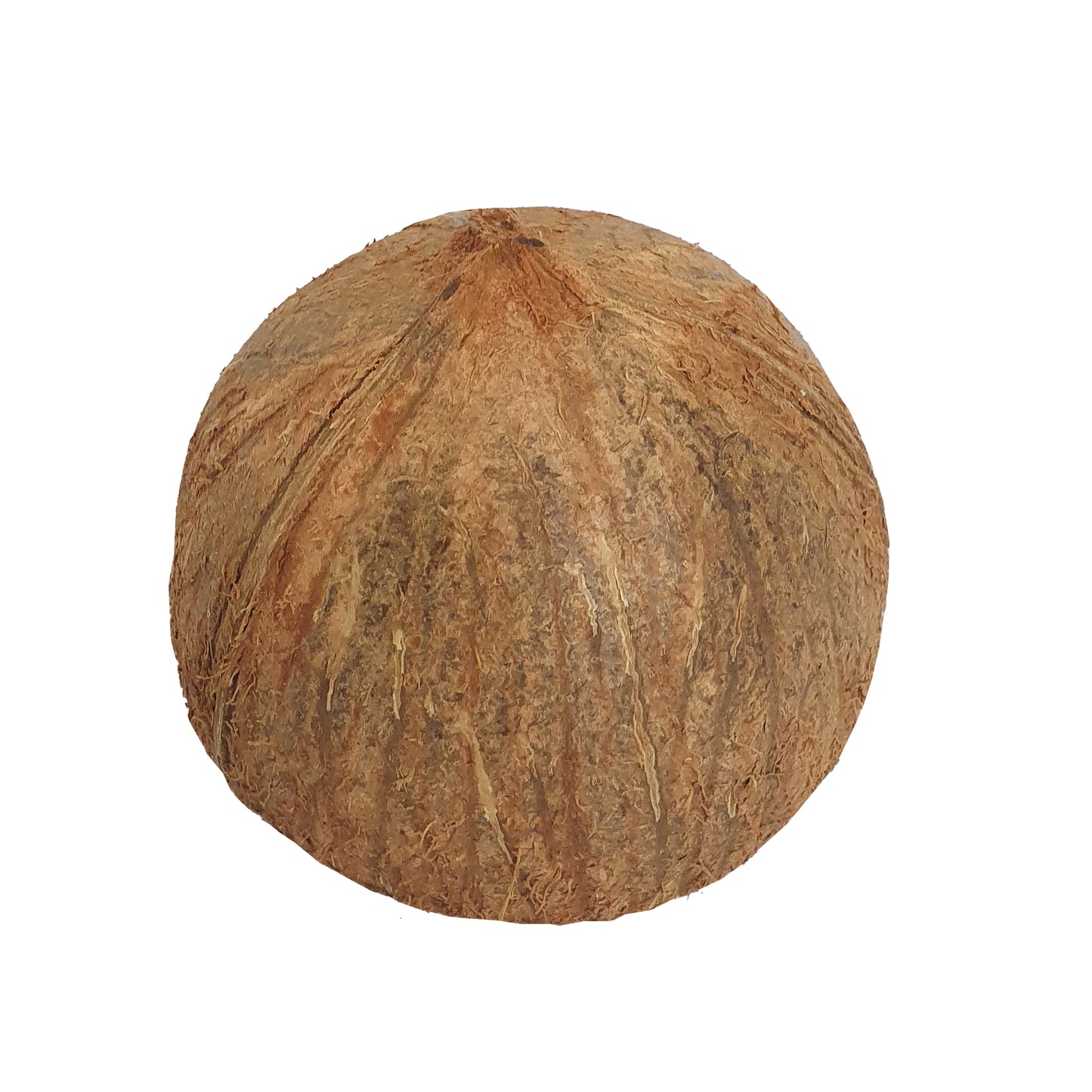 Metà di guscio di cocco Lakpura®