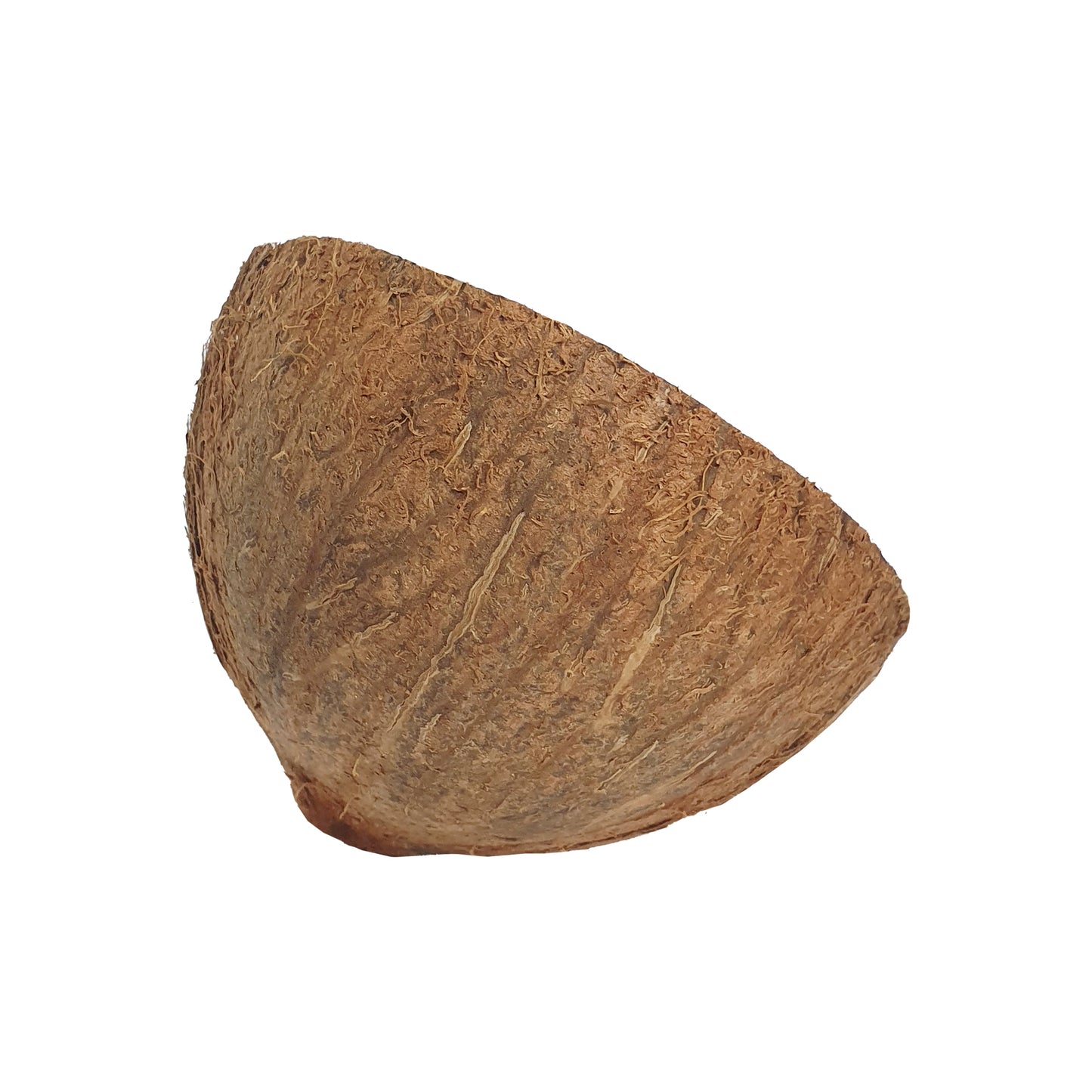 Metà di guscio di cocco Lakpura®