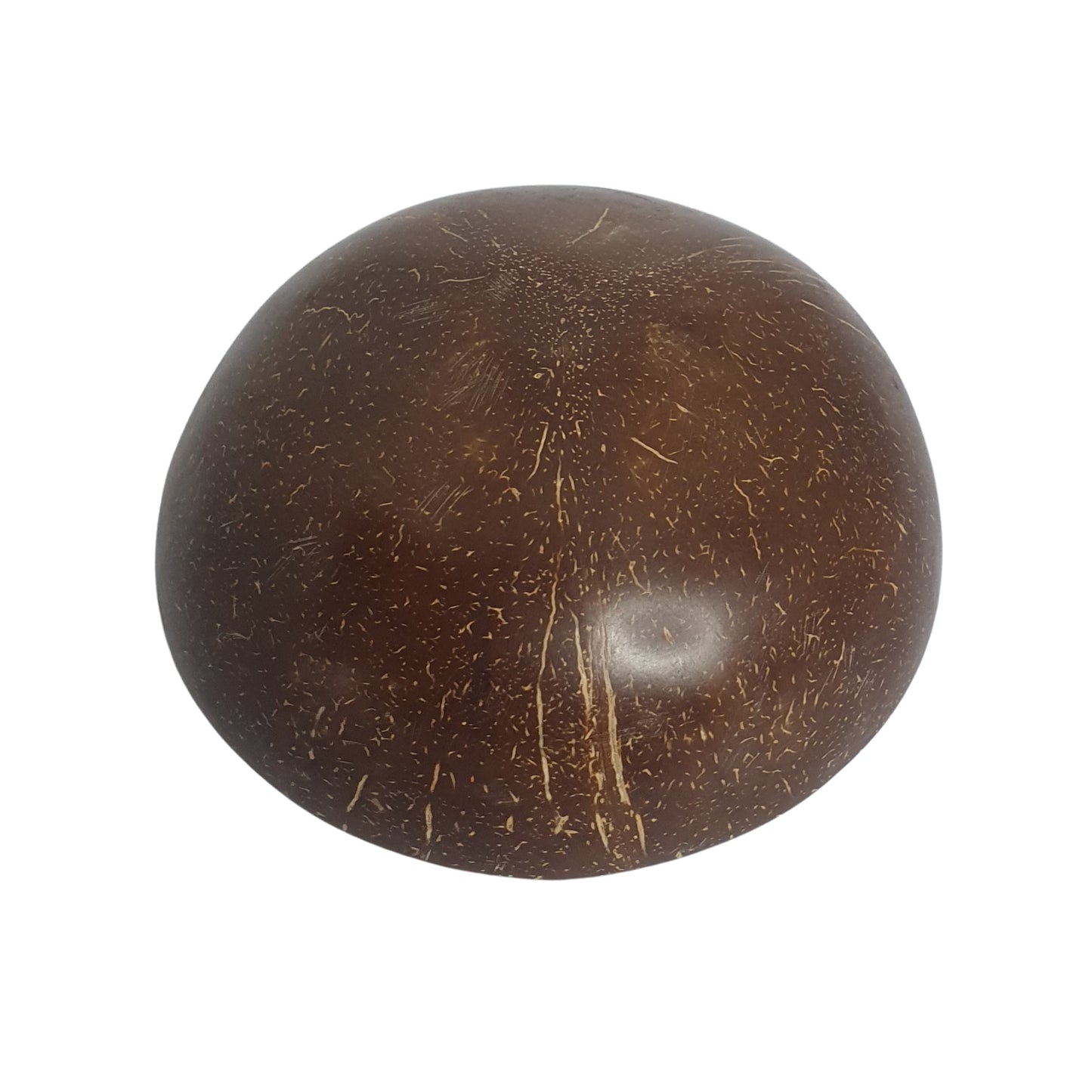 Ciotola in guscio di cocco Lakpura®