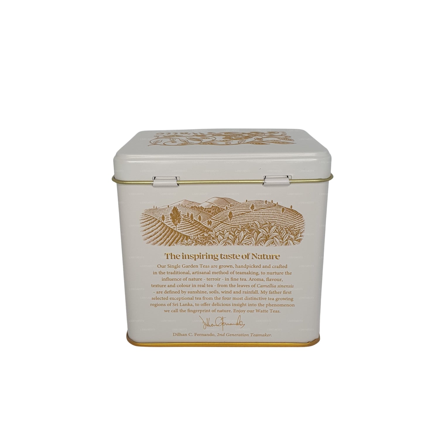 Tè in foglie sfuse all'acqua Dilmah Meda (125g)