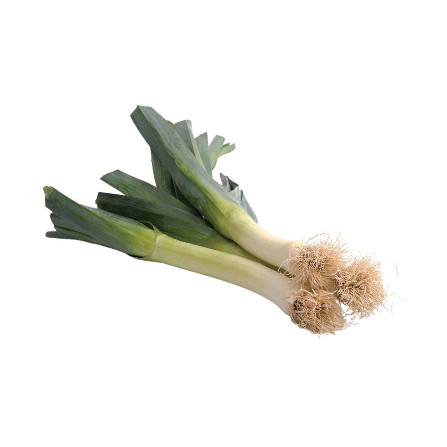 Lakpura® Leeks