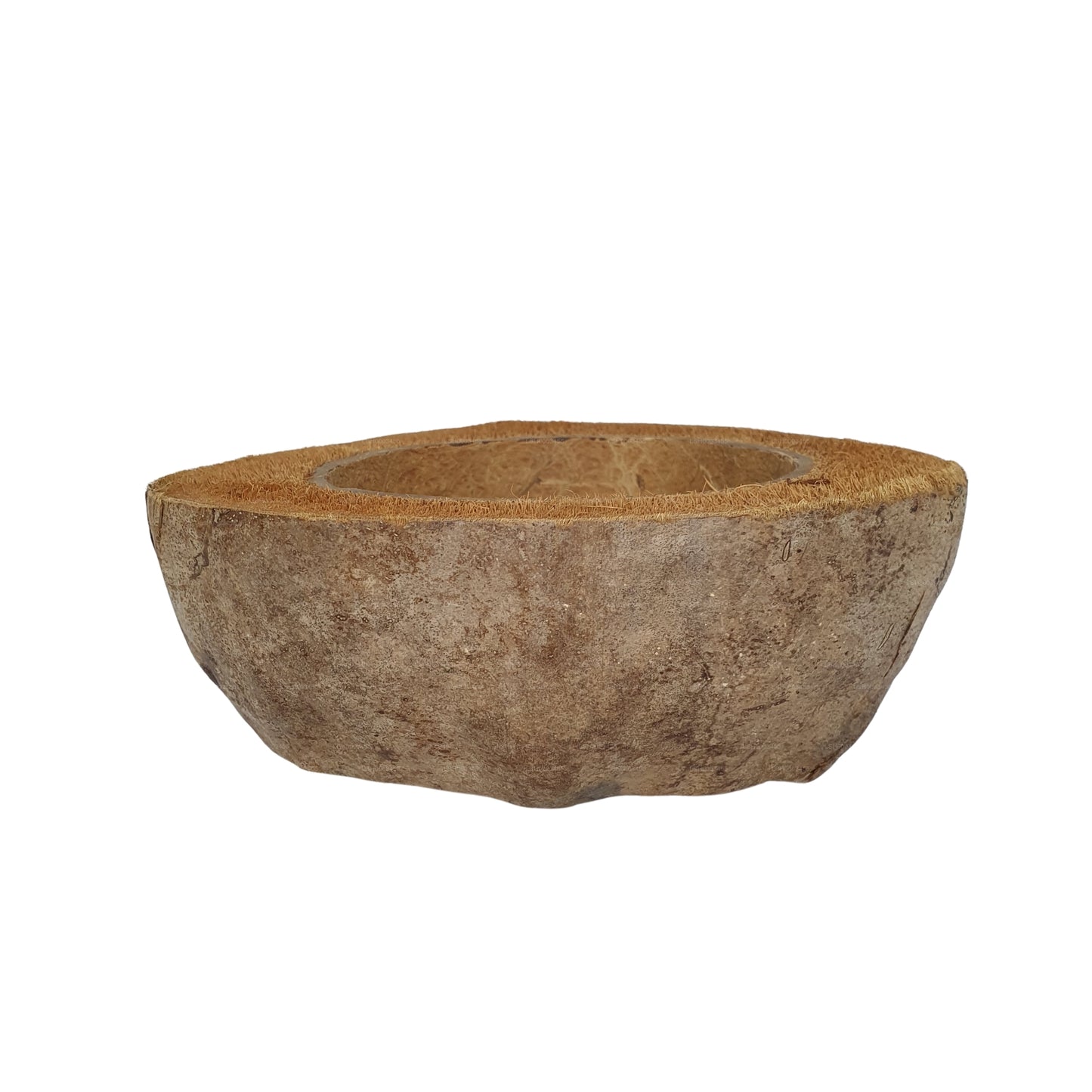 Vaso per piante di cocco naturale, design Bivenro (formato unico)