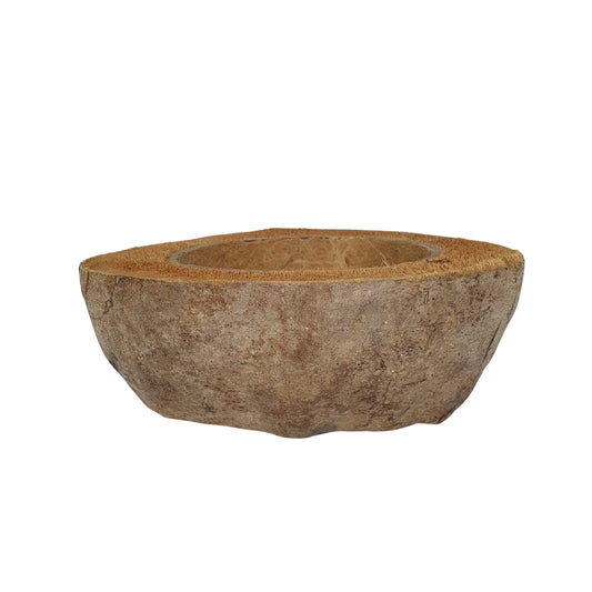 Vaso per piante di cocco naturale, design Bivenro (formato unico)