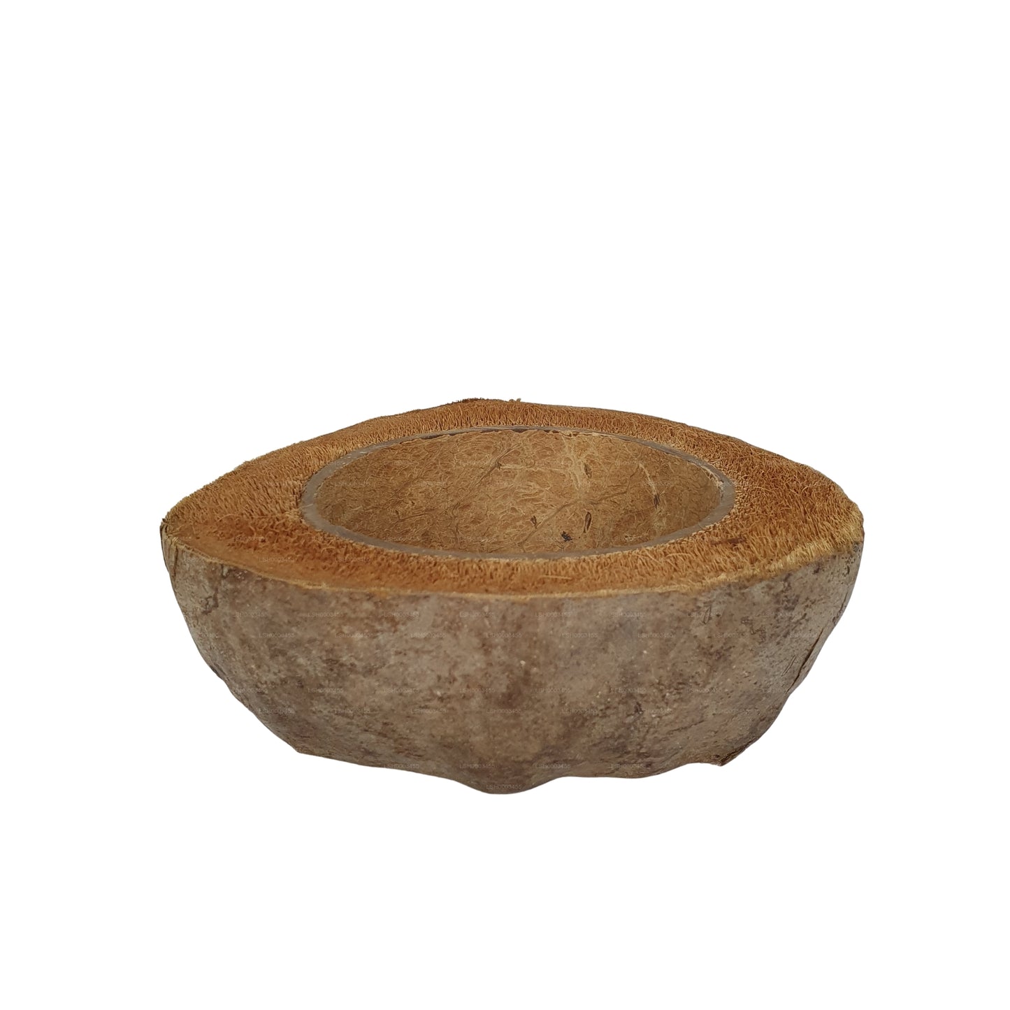 Vaso per piante di cocco naturale, design Bivenro (formato unico)
