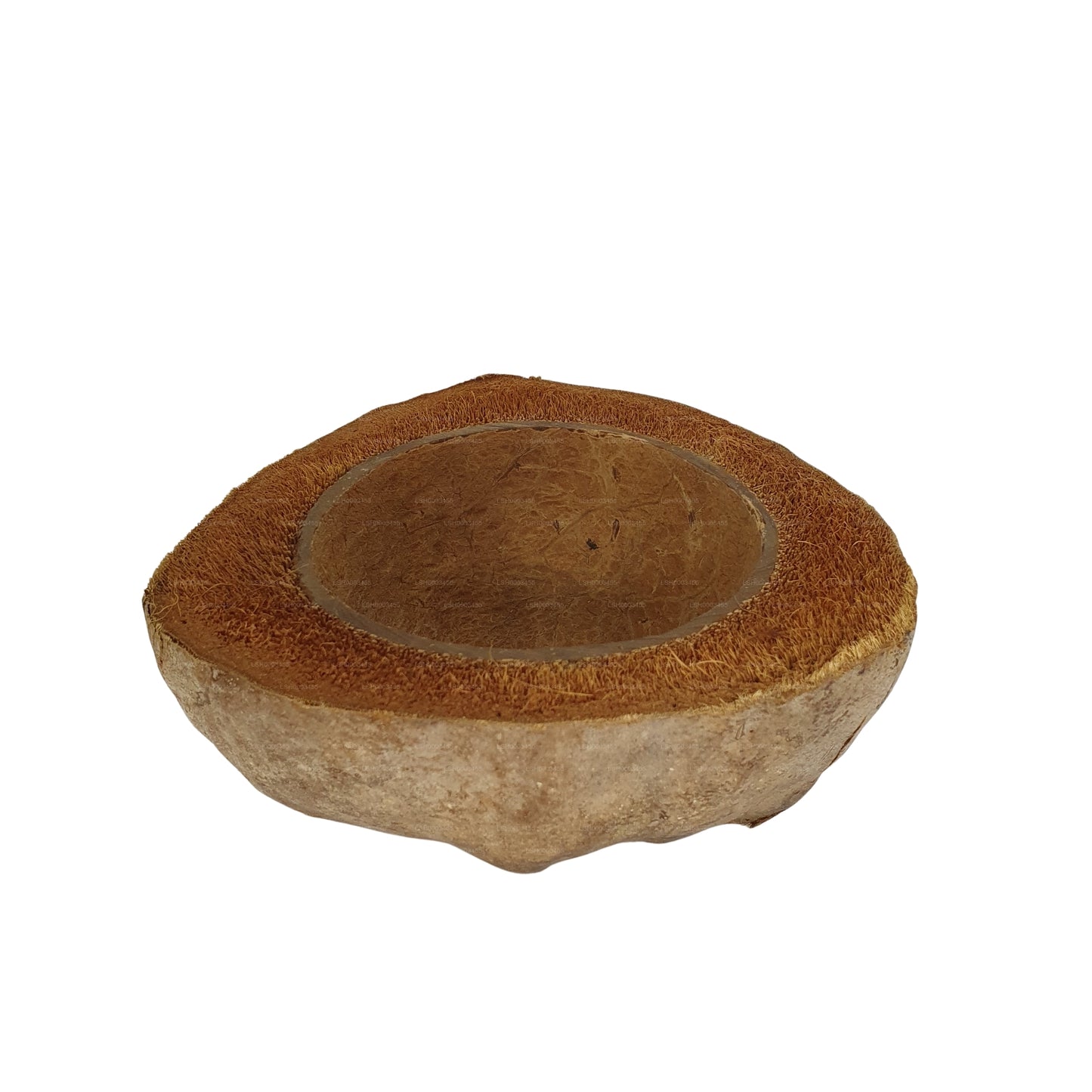 Vaso per piante di cocco naturale, design Bivenro (formato unico)