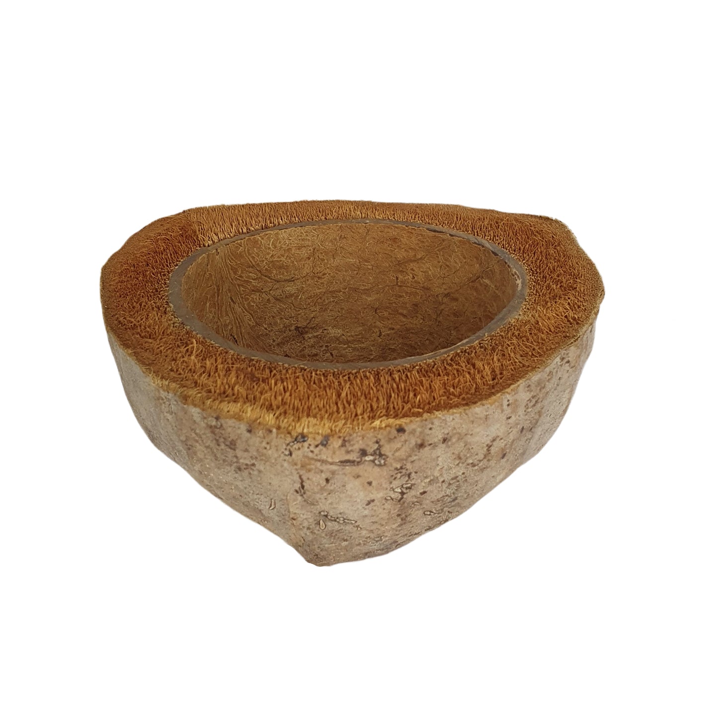 Vaso per piante di cocco naturale, design Bivenro (formato unico)