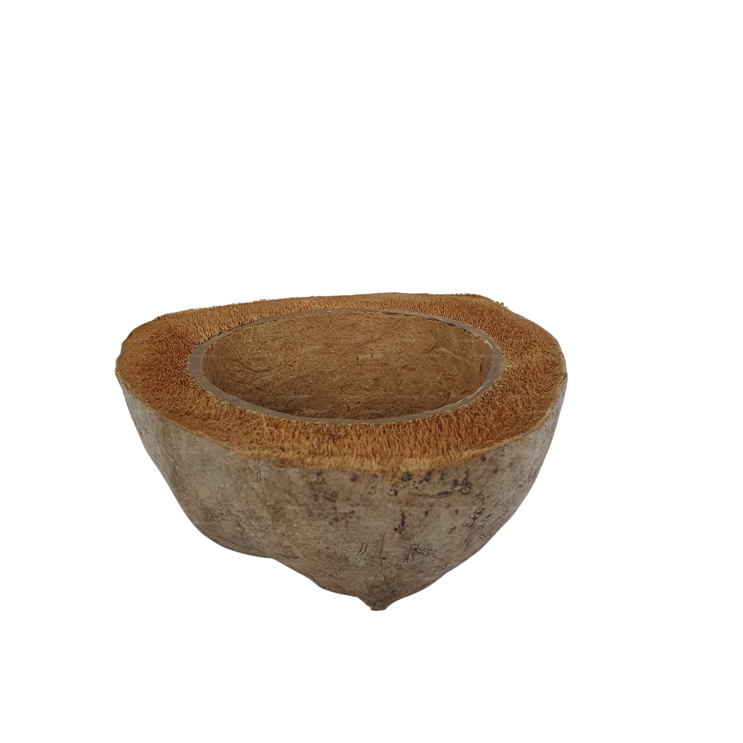 Vaso per piante di cocco naturale, design Bivenro (formato unico)