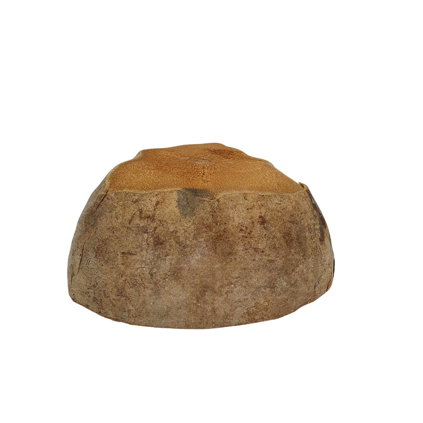 Vaso per piante di cocco naturale, design Bivenro (formato unico)