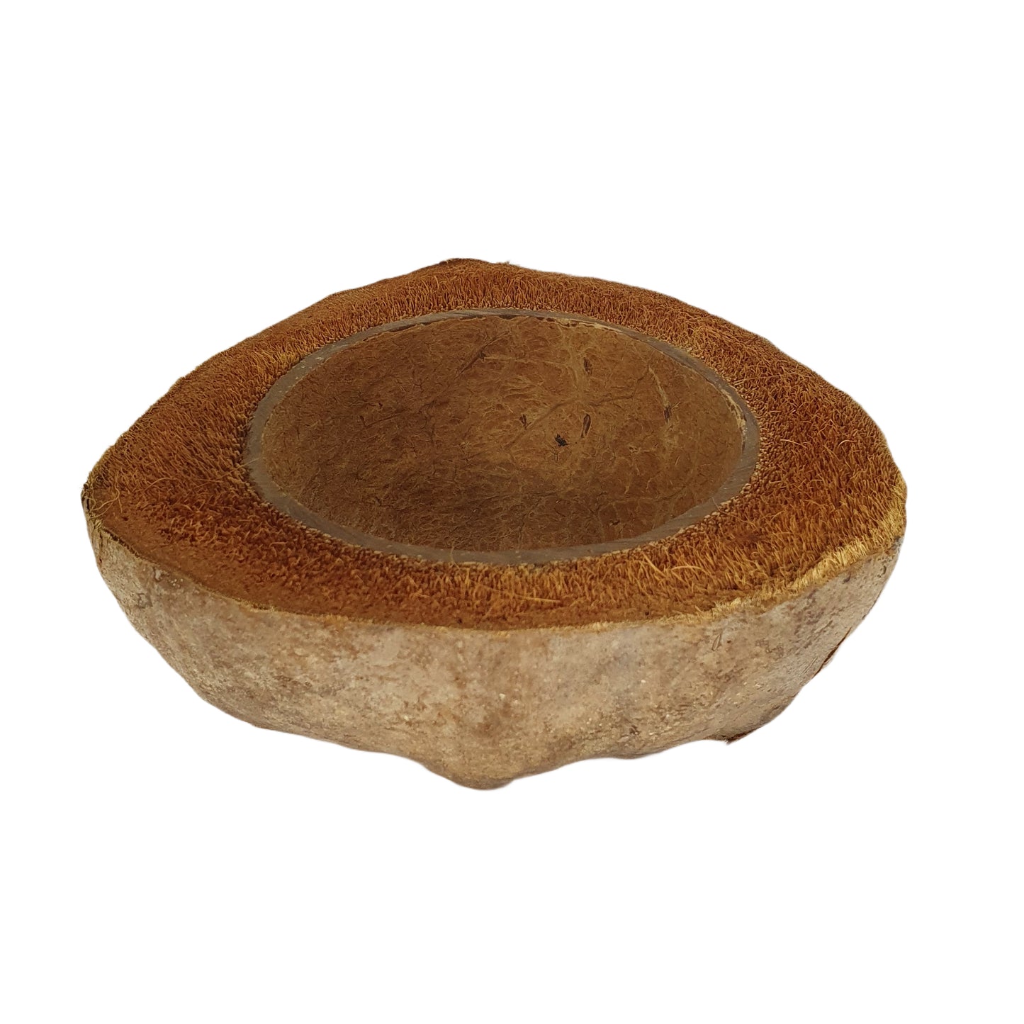 Vaso per piante di cocco naturale, design Bivenro (formato unico)