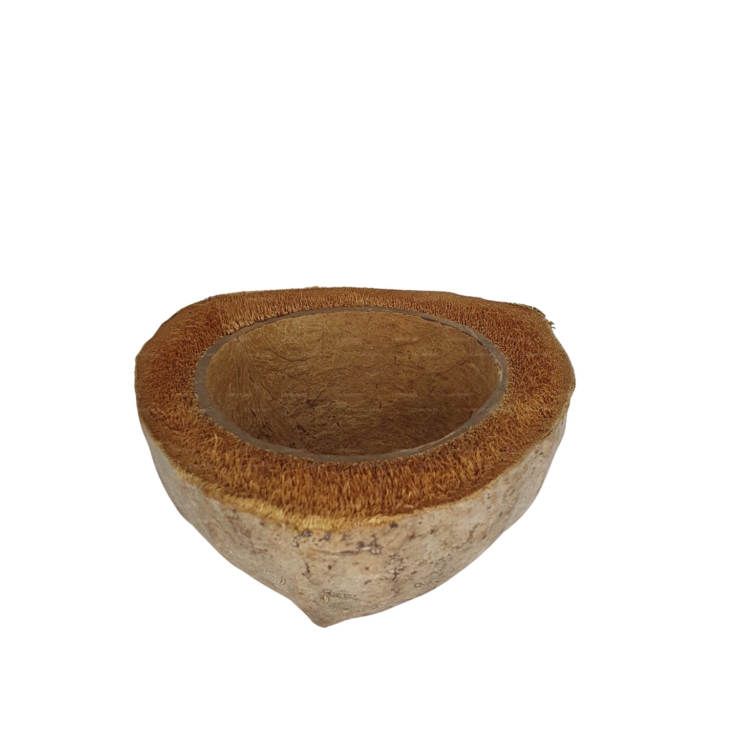 Vaso per piante di cocco naturale, design Bivenro (formato unico)