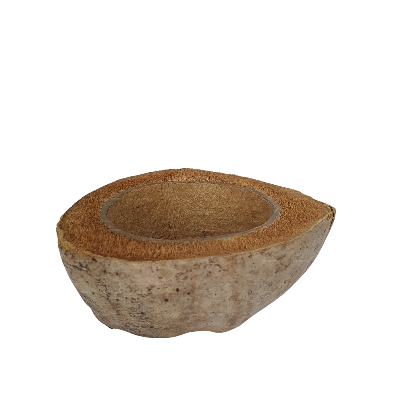 Vaso per piante di cocco naturale, design Bivenro (formato unico)