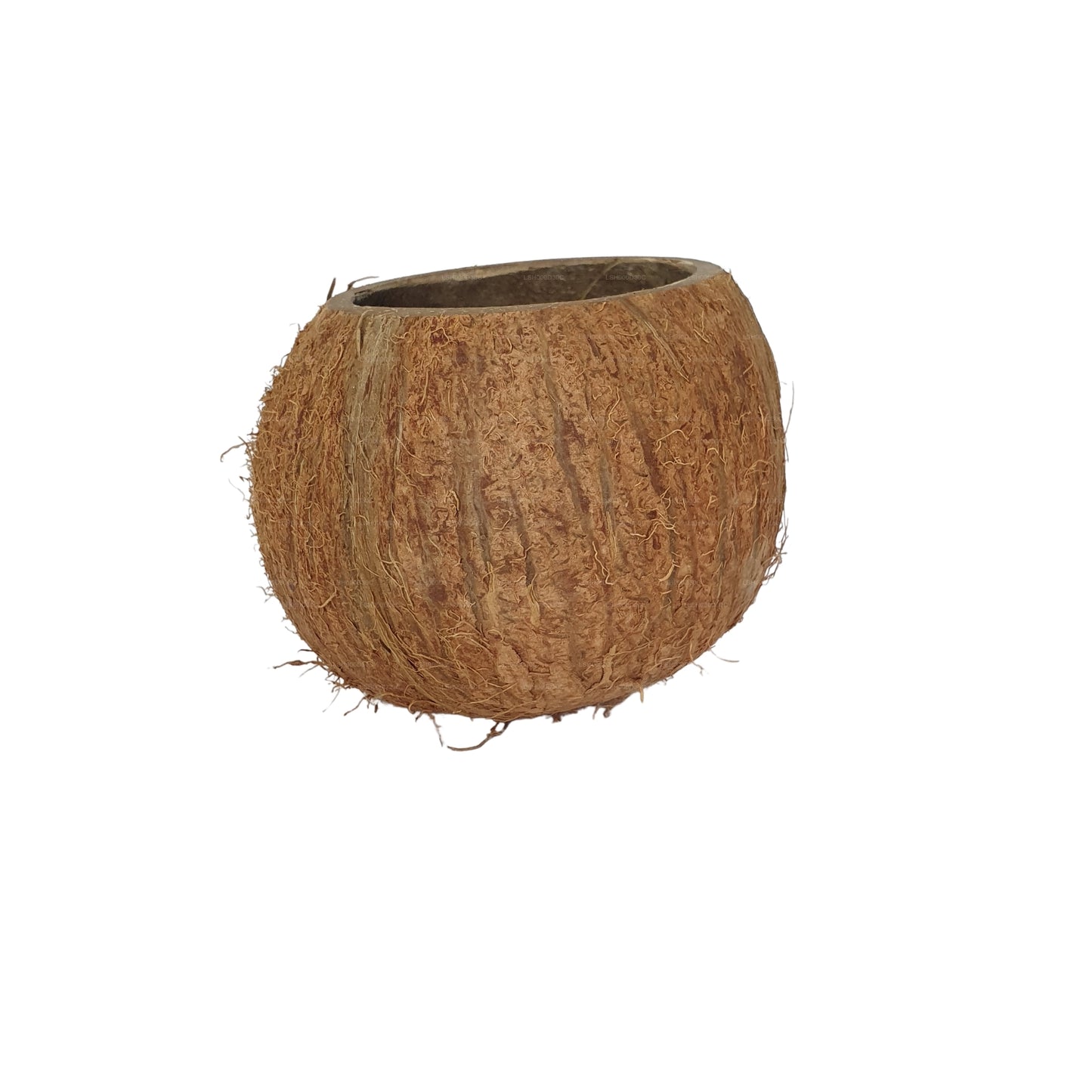 Grotta naturale con guscio di cocco 3/4 Bivenro (formato unico)