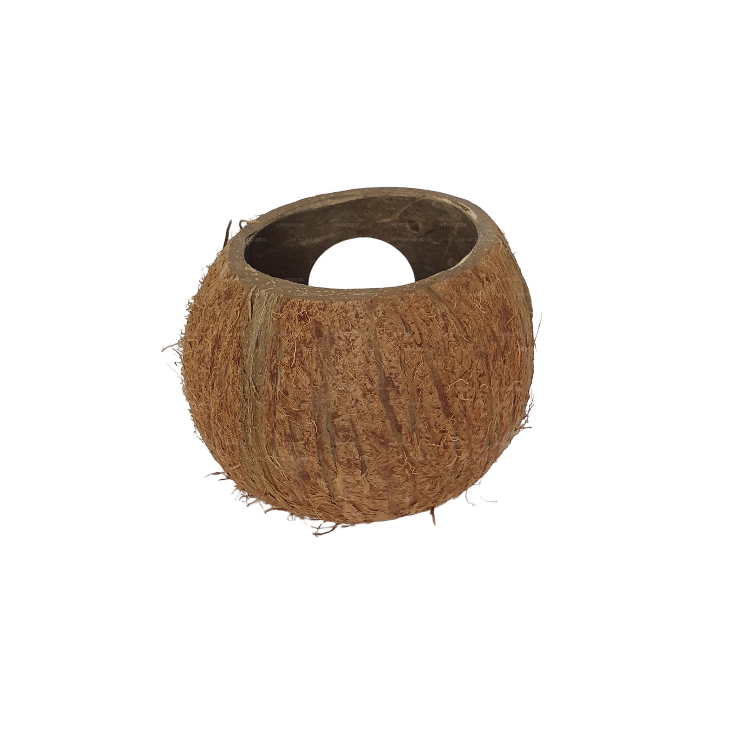 Grotta naturale con guscio di cocco 3/4 Bivenro (formato unico)