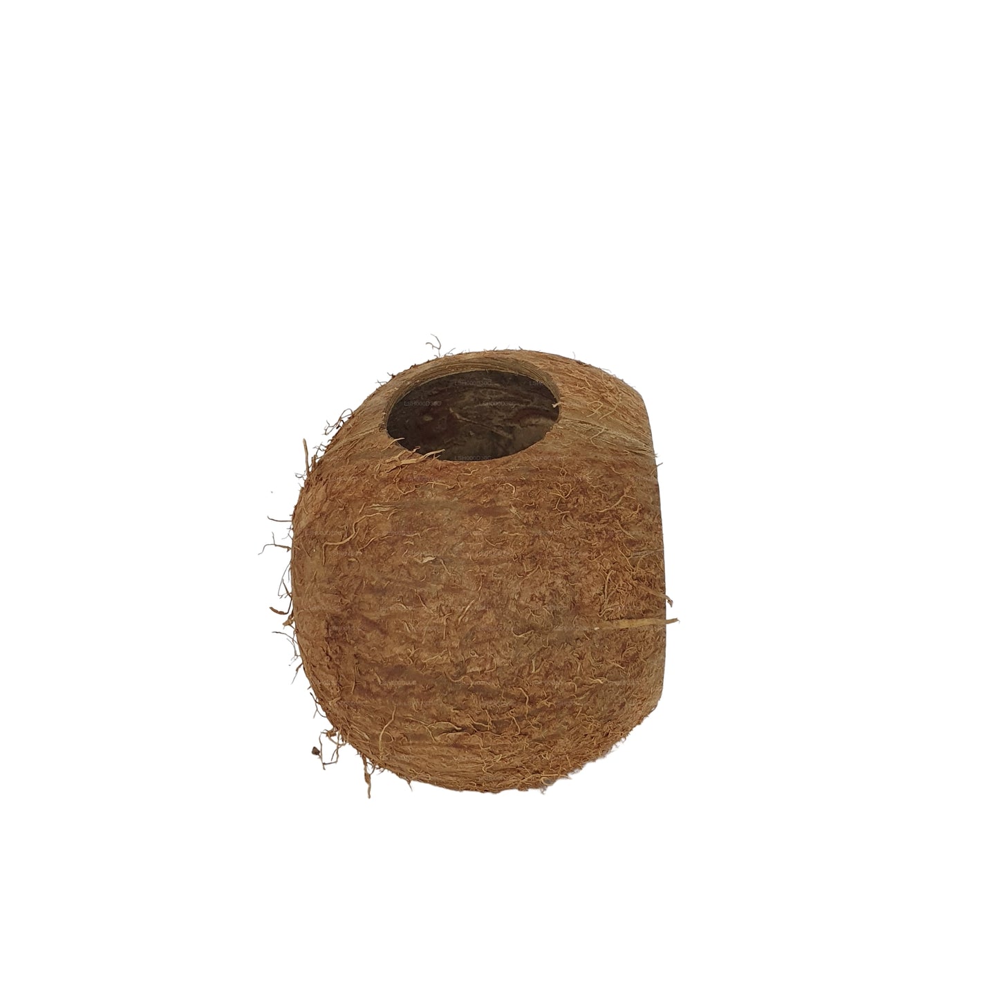 Grotta naturale con guscio di cocco 3/4 Bivenro (formato unico)
