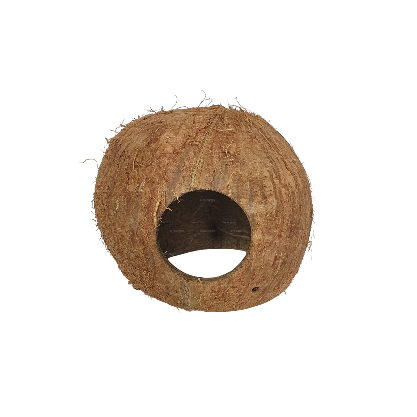 Grotta naturale con guscio di cocco 3/4 Bivenro (formato unico)