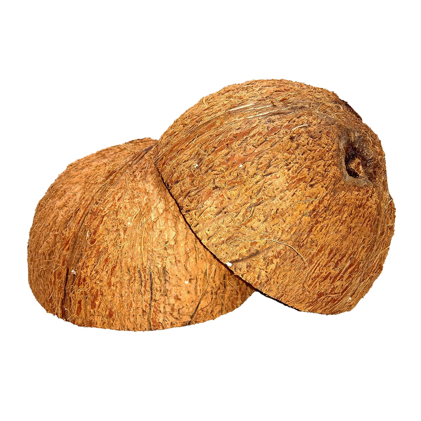 Lakpura® Coconut Shell Halves