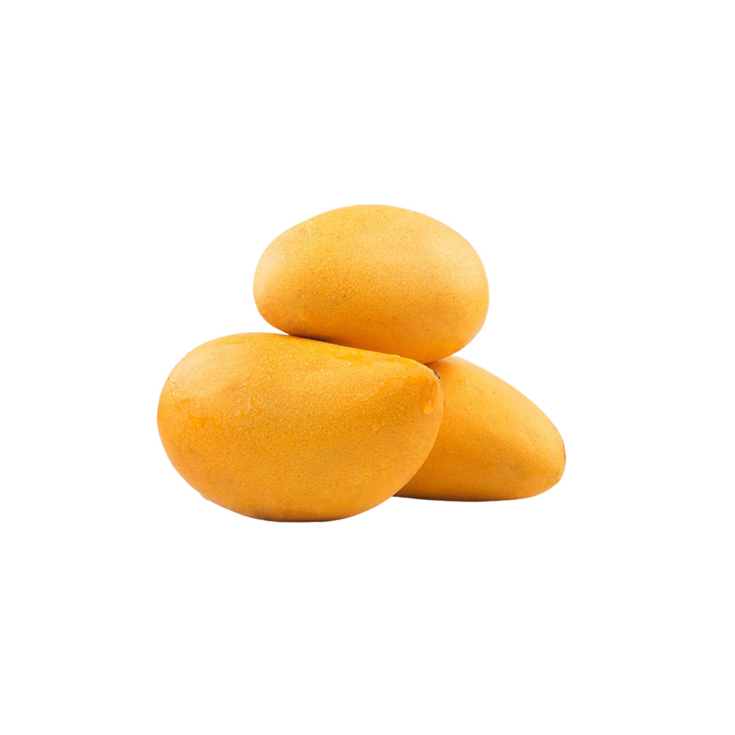 Lakpura® Yellow Mango Plant