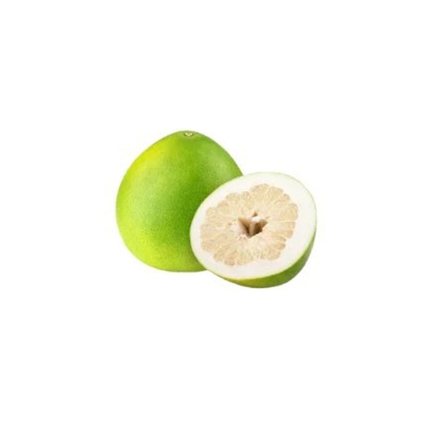 Pianta di Pomelo Bianco Thailandese Lakpura® innestata