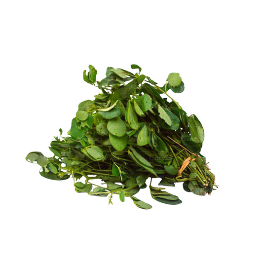 Lakpura® Thora Leaves