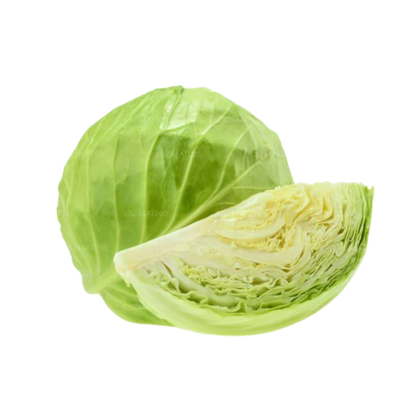 Lakpura® Cabbage
