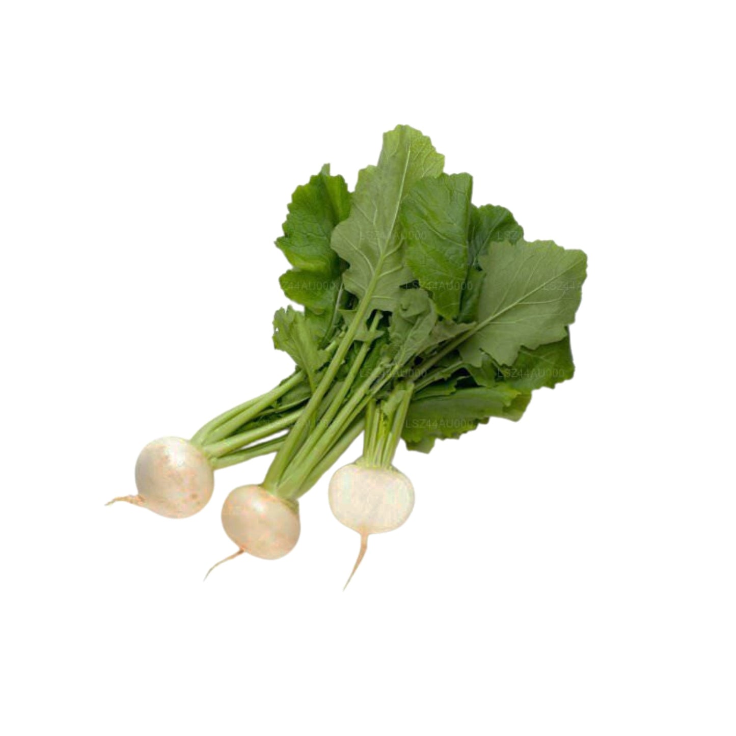 Ravanello () 250g
