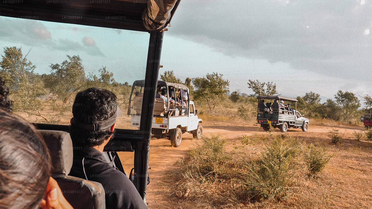 Udawalawe and Galle from Colombo (2 Days)