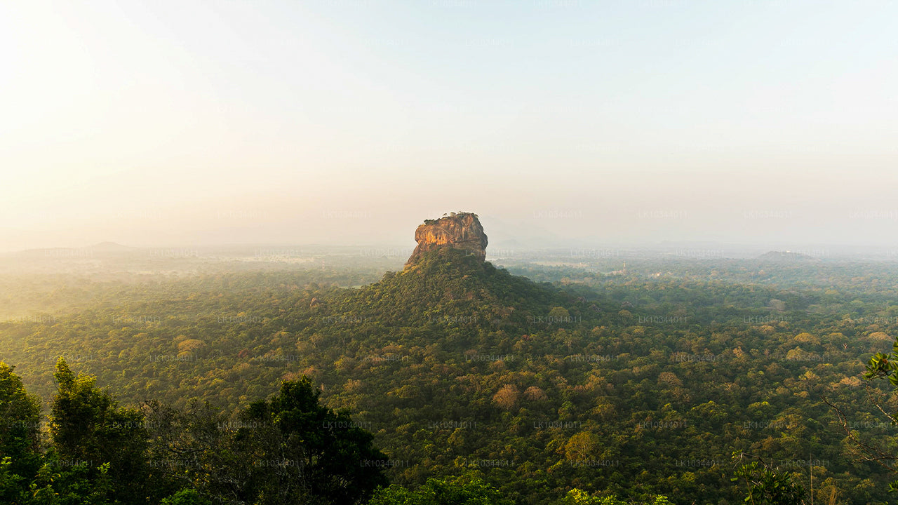 The Paradise Island (3 Days)