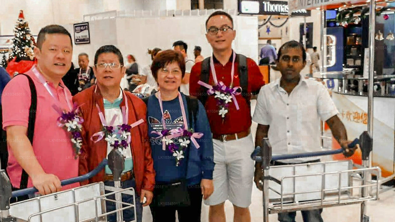 Last Kingdom of Sri Lanka from Colombo (3 Days)