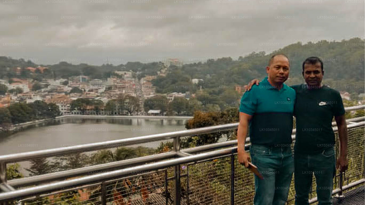 Last Kingdom of Sri Lanka from Colombo (3 Days)