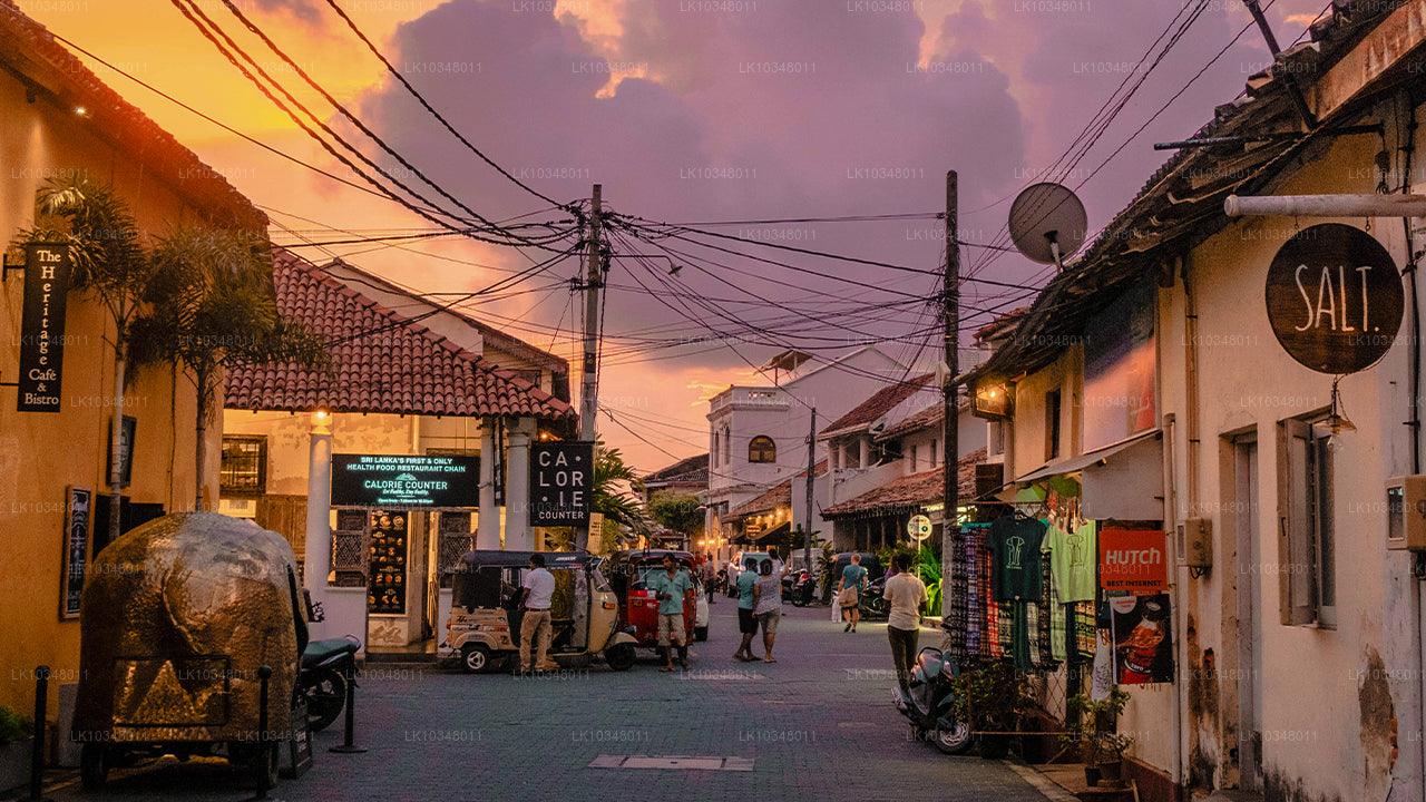 Cosy Sri Lanka (3 Days)