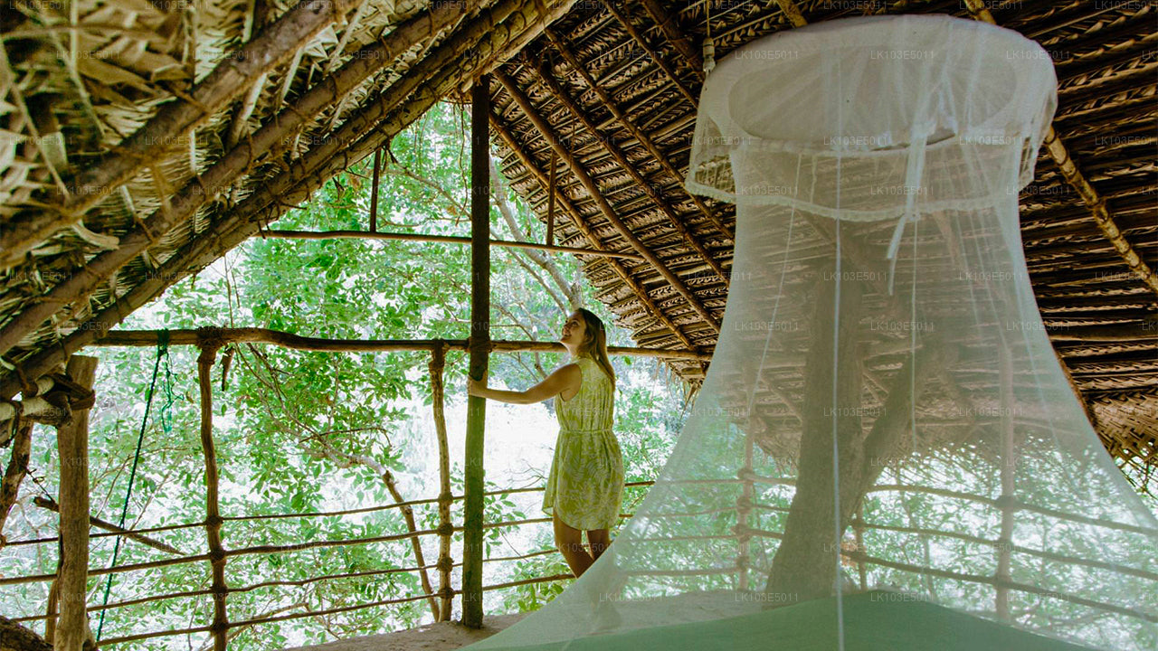 Eco Tours of Sri Lanka (3 Days)