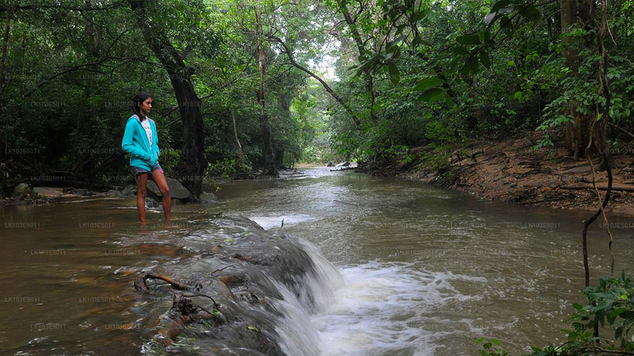 Eco Tours of Sri Lanka (3 Days)