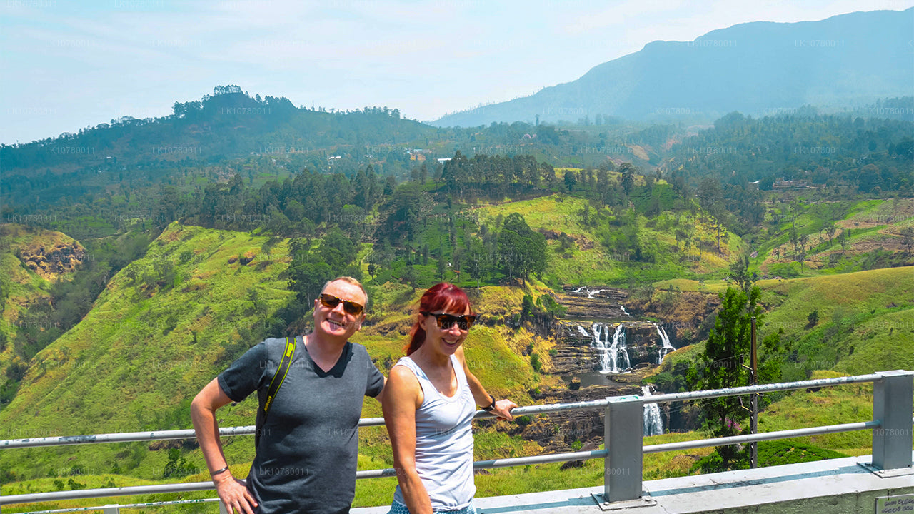 Blend of Shore And Hills (7 Days)