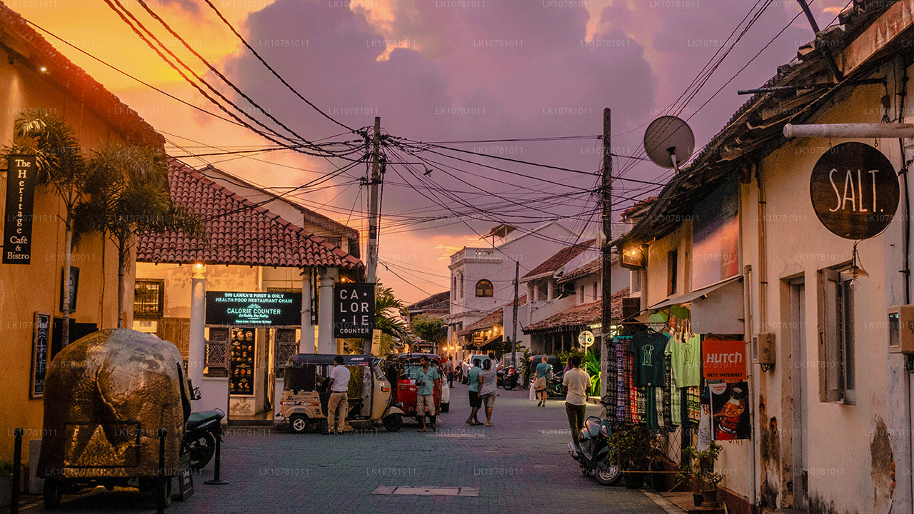 Golden Coast of the South (7 Days)